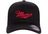 MERICA FUNNY AMERICAN 'MERICA PATRIOT ***CURVED BILL*** FLEXFIT HAT