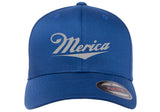 MERICA FUNNY AMERICAN 'MERICA PATRIOT ***CURVED BILL*** FLEXFIT HAT